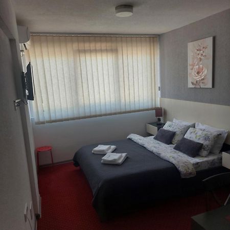 Rooms S&S Milicevic U Strogom Centru Aleksandrovca Aleksandrovac Rum bild